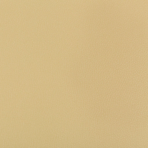 KRAVET CONTRACT - SYRUS- SESAME - Fabric by the Yard SESAME