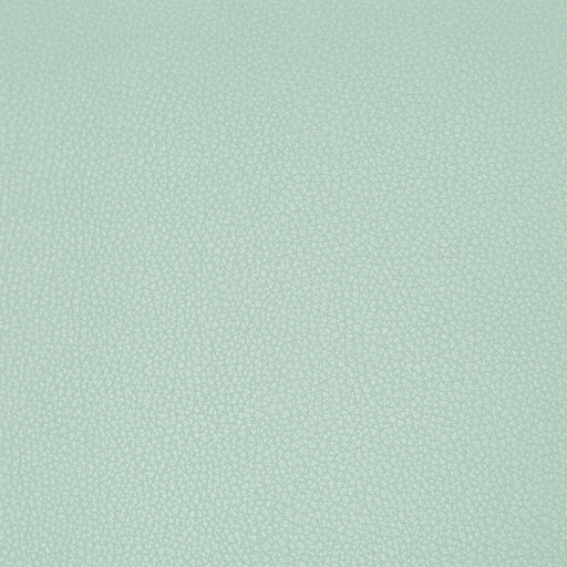 KRAVET CONTRACT - SYRUS- ROBINS EGG - Fabric by the Yard ROBINS EGG