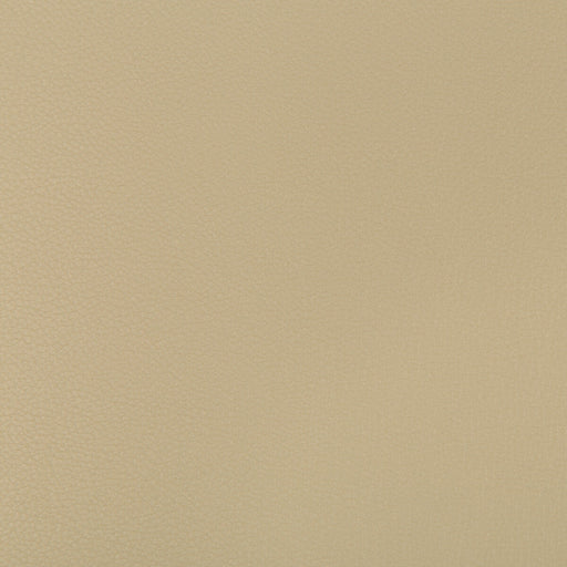 KRAVET CONTRACT - SYRUS- STUCCO - Fabric by the Yard STUCCO