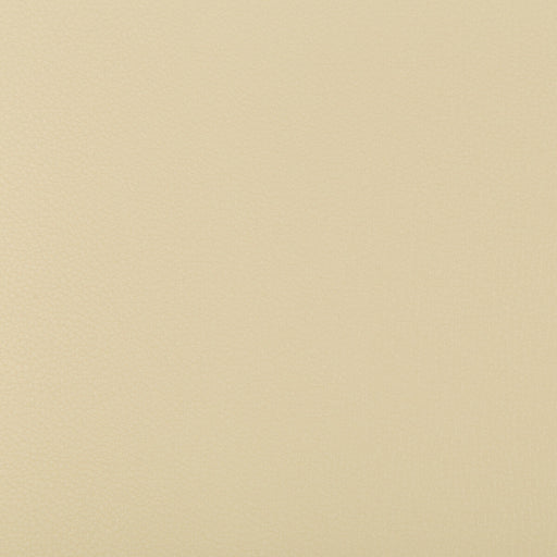 KRAVET CONTRACT - SYRUS- SANDBAR - Fabric by the Yard SANDBAR