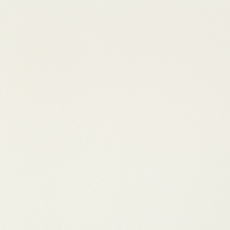 KRAVET CONTRACT - SYRUS- GESSO - Fabric by the Yard GESSO
