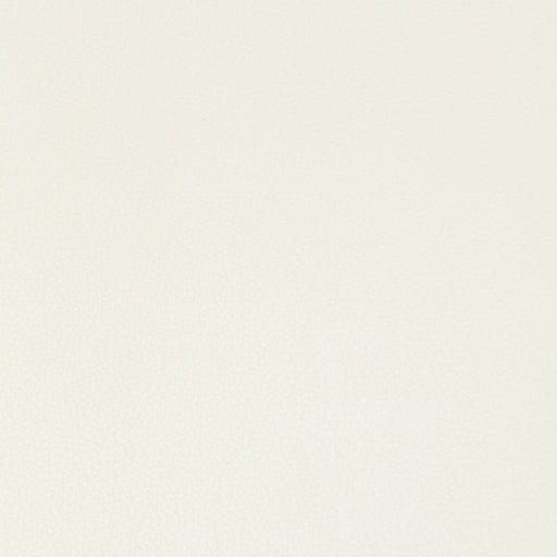 KRAVET CONTRACT - SYRUS- GESSO - Fabric by the Yard GESSO