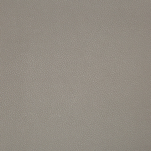KRAVET CONTRACT - SYRUS- TRUFFLE - Fabric by the Yard TRUFFLE