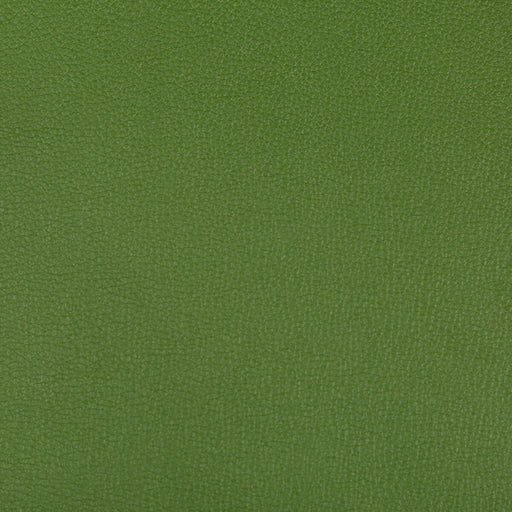 KRAVET CONTRACT - SYRUS- BONSAI - Fabric by the Yard BONSAI