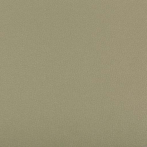 KRAVET CONTRACT - SYRUS- SAGE - Fabric by the Yard SAGE