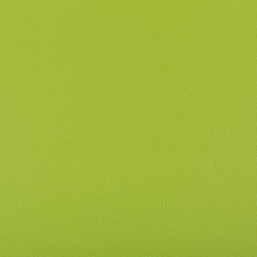 KRAVET CONTRACT - SYRUS- MATCHA - Fabric by the Yard MATCHA