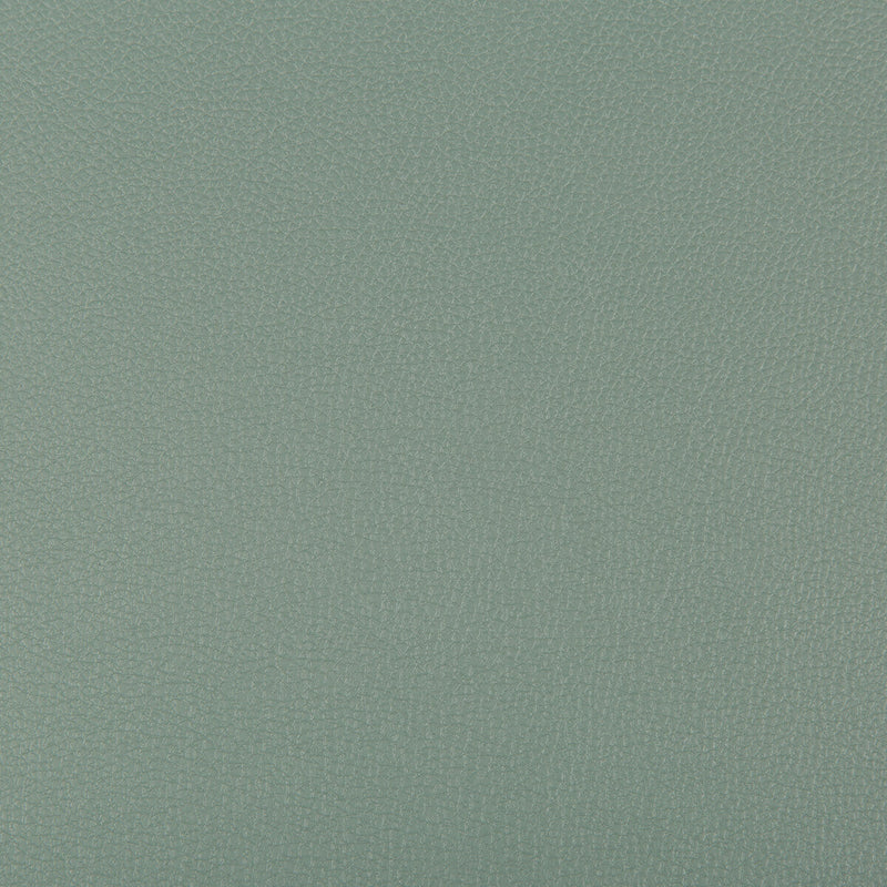 KRAVET CONTRACT - SYRUS- HERBAL - Fabric by the Yard HERBAL