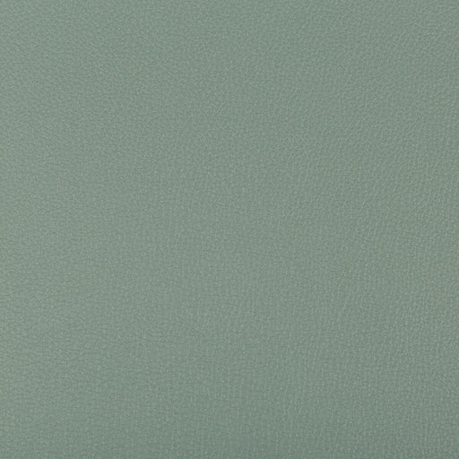 KRAVET CONTRACT - SYRUS- HERBAL - Fabric by the Yard HERBAL