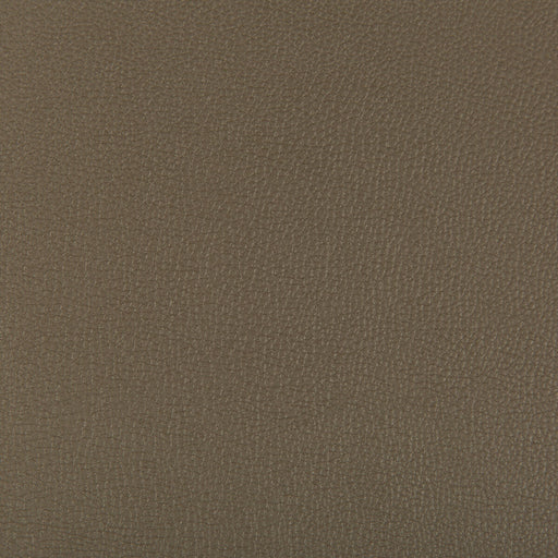 KRAVET CONTRACT - SYRUS- PORCINI - Fabric by the Yard PORCINI