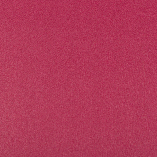 KRAVET CONTRACT - SYRUS- FUSCHIA - Fabric by the Yard FUSCHIA