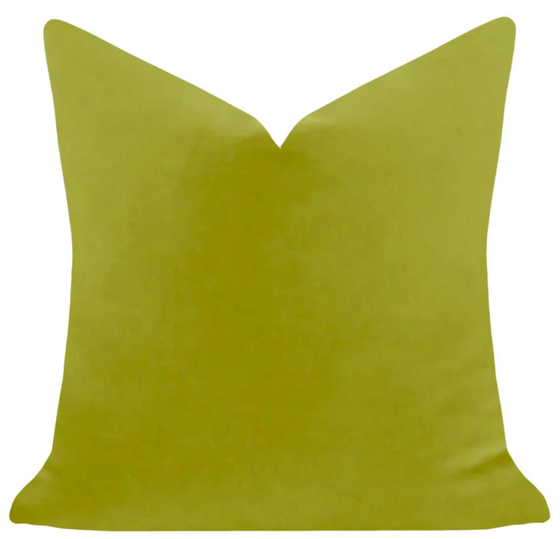 Green 22x22 Solid Velvet Pillow