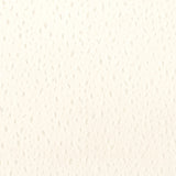 Sonya - Cotton - 29 Park - Fabric by the Yard
