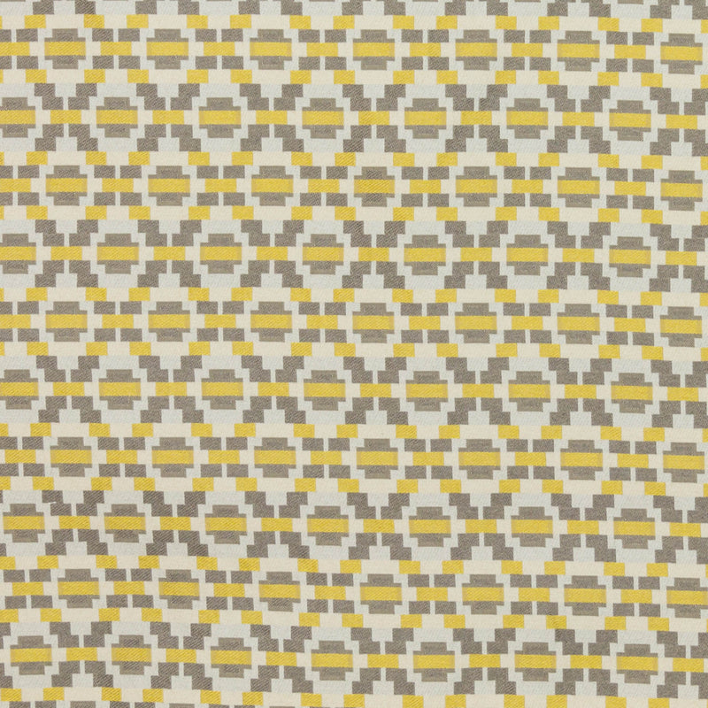 RM Coco - Step Up Trellis - Fabric by the Yard - Samples Available Upon Request