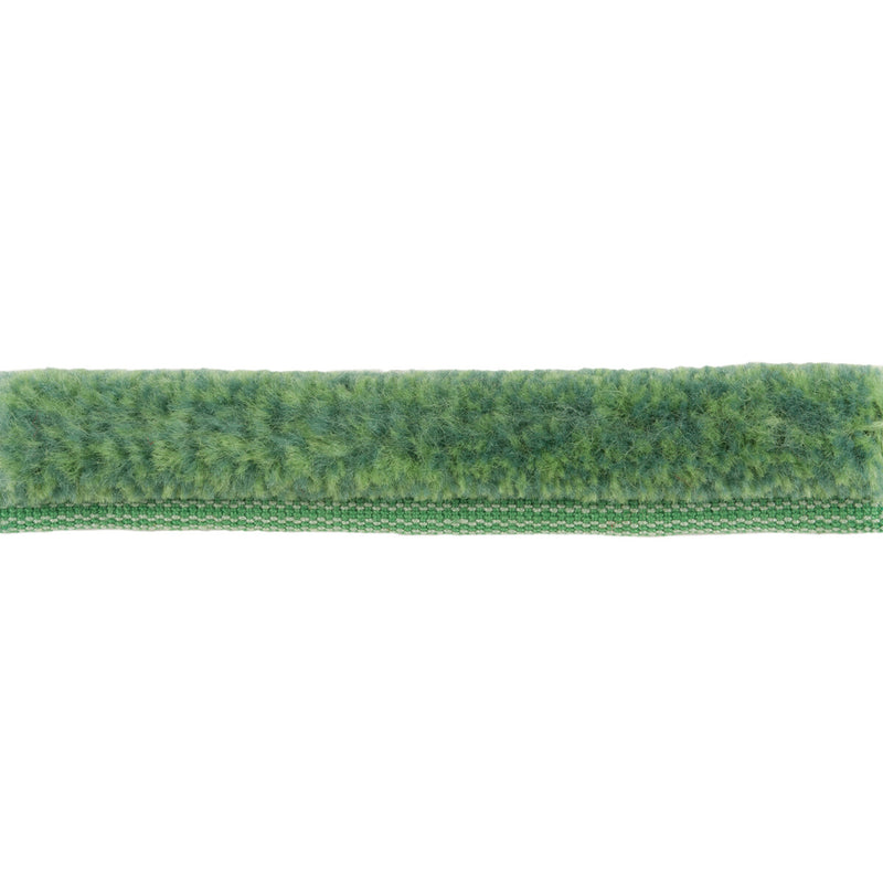 BRUNSCHWIG & FILS - BF BF::-  - Fabric by the Yard