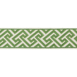 BRUNSCHWIG & FILS - SANCHI TAPE- KIWI - Fabric by the Yard