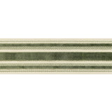 BRUNSCHWIG & FILS - CANTON TAPE- MOSS - Fabric by the Yard