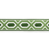 BRUNSCHWIG & FILS - AVRIL TAPE- LEAF - Fabric by the Yard