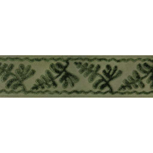 BRUNSCHWIG & FILS - CASSIS TAPE- PERIDOT - Fabric by the Yard PERIDOT