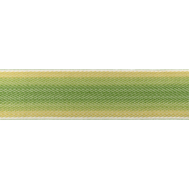 BRUNSCHWIG & FILS - BARFLEUR TAPE- LEAF - Fabric by the Yard LEAF