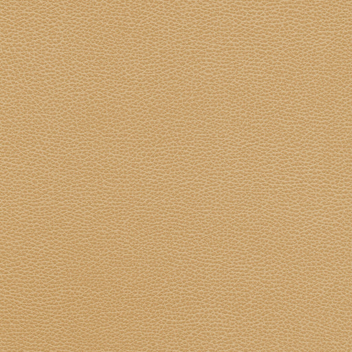 KRAVET DESIGN - KRAVET DESIGN- TANNIN-16 - Fabric by the Yard TANNIN-16