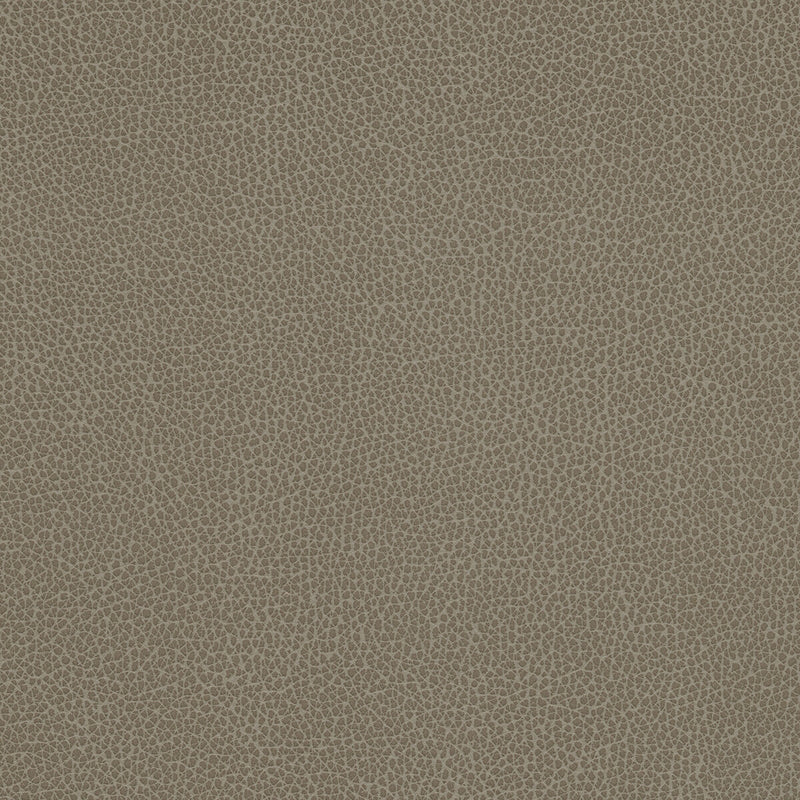 KRAVET DESIGN - KRAVET DESIGN- TANNIN-21 - Fabric by the Yard TANNIN-21