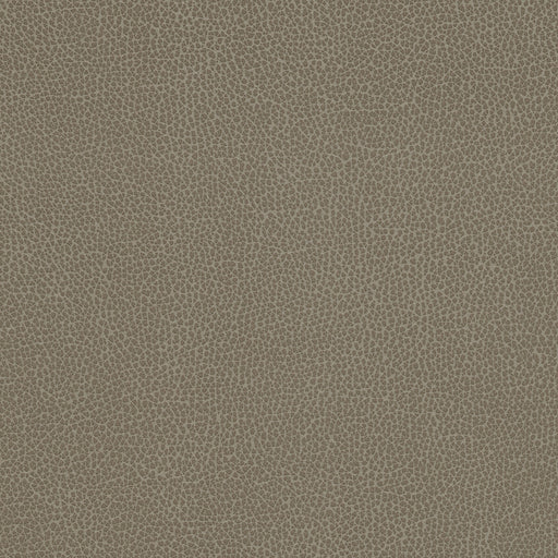 KRAVET DESIGN - KRAVET DESIGN- TANNIN-21 - Fabric by the Yard TANNIN-21