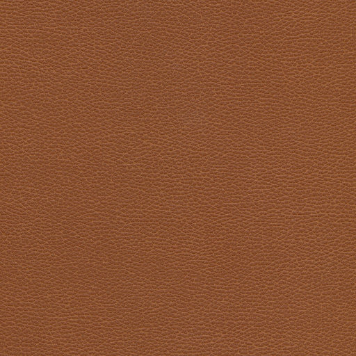 KRAVET DESIGN - TANNIN - Fabric By the Yard