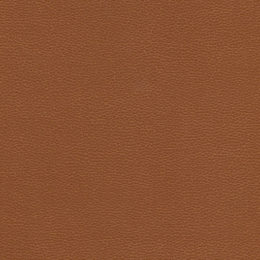 KRAVET DESIGN - KRAVET DESIGN- TANNIN-6 - Fabric by the Yard TANNIN-6