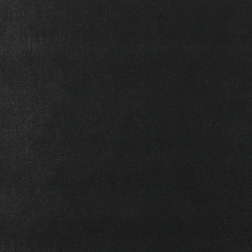 Charlotte - TD-Black - Black - Fabric by the Yard Black
