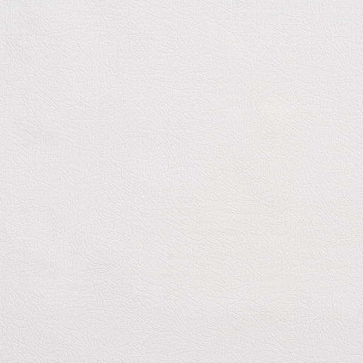 Charlotte - TD-White - White - Fabric by the Yard White
