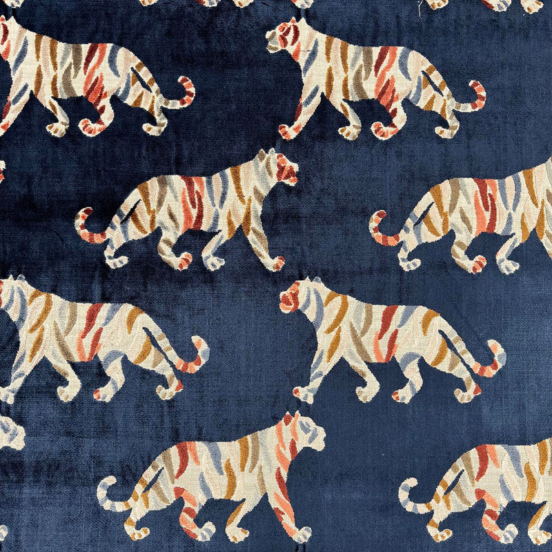 TIGRESS MIDNIGHT