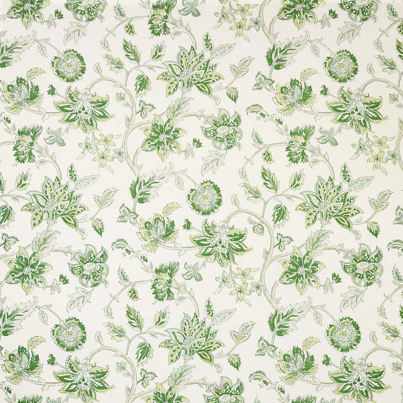 KRAVET BASICS - TIRU VINE- ARBOR - Fabric by the Yard ARBOR