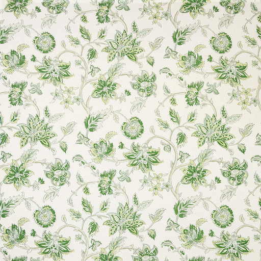 KRAVET BASICS - TIRU VINE- ARBOR - Fabric by the Yard ARBOR