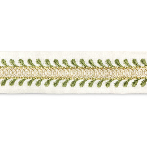 LEE JOFA - TAPTON EMB TAPE - GREEN - Fabric By The YARD