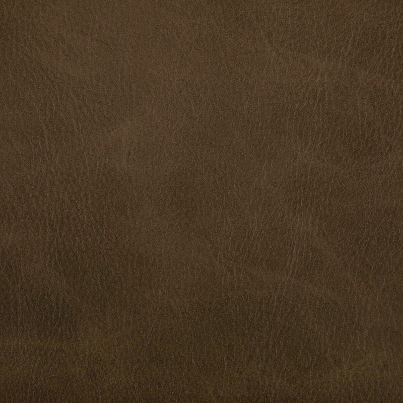 KRAVET CONTRACT - TONI- ETRUSCAN - Fabric by the Yard ETRUSCAN