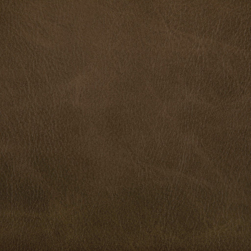 KRAVET CONTRACT - TONI- ETRUSCAN - Fabric by the Yard ETRUSCAN