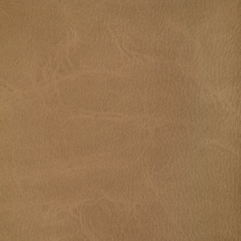 KRAVET CONTRACT - TONI- MOCCASIN - Fabric by the Yard MOCCASIN