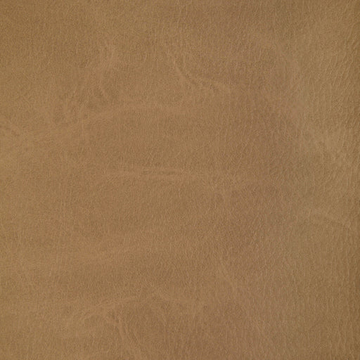 KRAVET CONTRACT - TONI- MOCCASIN - Fabric by the Yard MOCCASIN