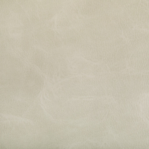 KRAVET CONTRACT - TONI- TUSK - Fabric by the Yard TUSK