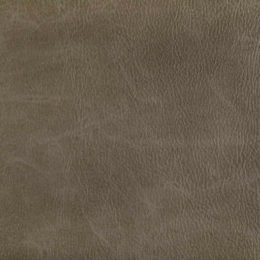 KRAVET CONTRACT - TONI- FIELD - Fabric by the Yard FIELD