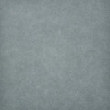 Maxwell - TARO - SEA BISCUIT - Fabric by the Yard