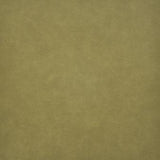 Maxwell - TARO - SPROUT - Fabric by the Yard
