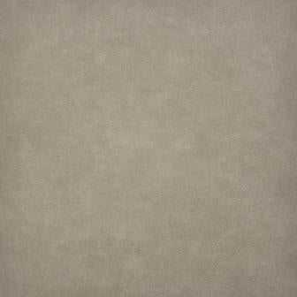 Maxwell - TARO - TRAIL - Fabric by the Yard