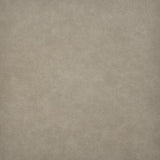 Maxwell - TARO - TRAIL - Fabric by the Yard
