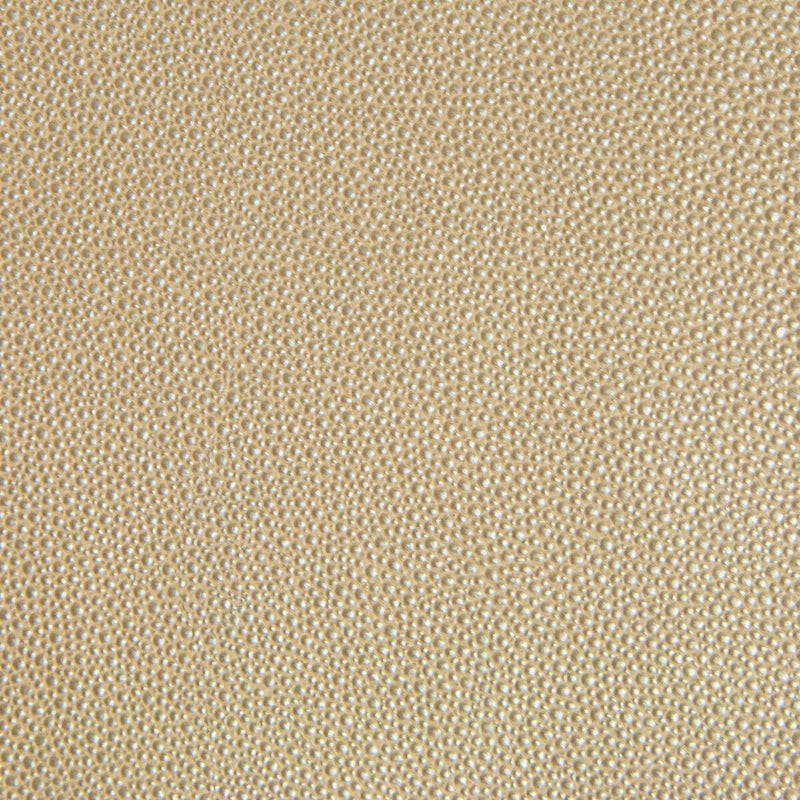 KRAVET DESIGN - KRAVET DESIGN- TREZZO-16 - Fabric by the Yard TREZZO-16