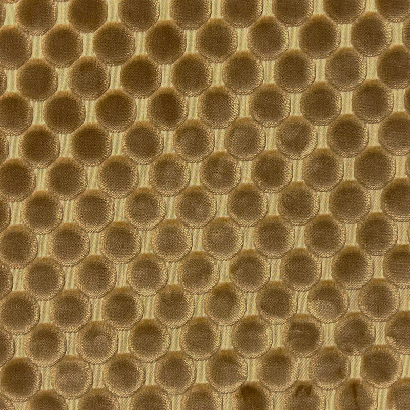 TRODO - COIN - Mag Fabrics - Fabric By The Yard