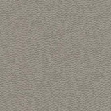 Maxwell - TEBESSA-NJ - ROCK - Fabric by the Yard