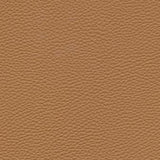 Maxwell - TEBESSA-NJ - PINTO - Fabric by the Yard