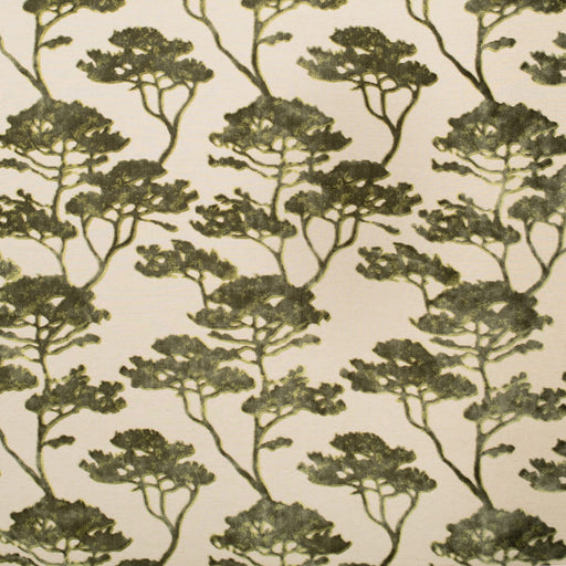 Tanzania - Glade - 29 Park - Fabric by the Yard
