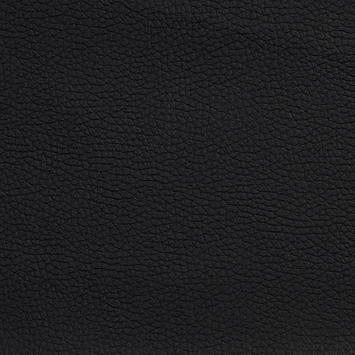 Charlotte - V104 - Chroma Black - Fabric by the Yard Chroma Black